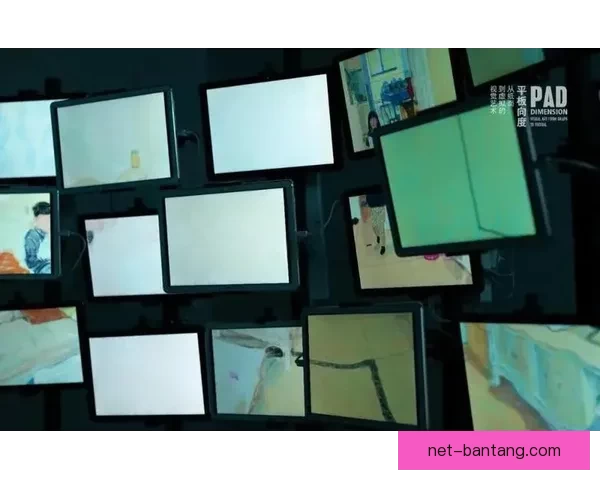 欲漫涩APP：解锁数字时代的感官新维度